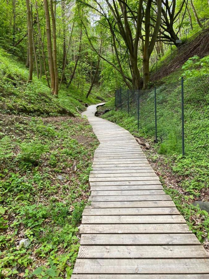 Zielone Rozewie Park 外观 照片